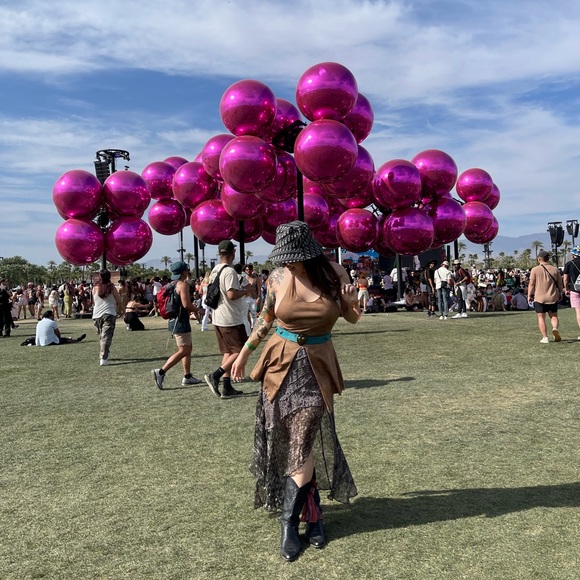 Meet your Posher, Maddison - Picture 2 of 3